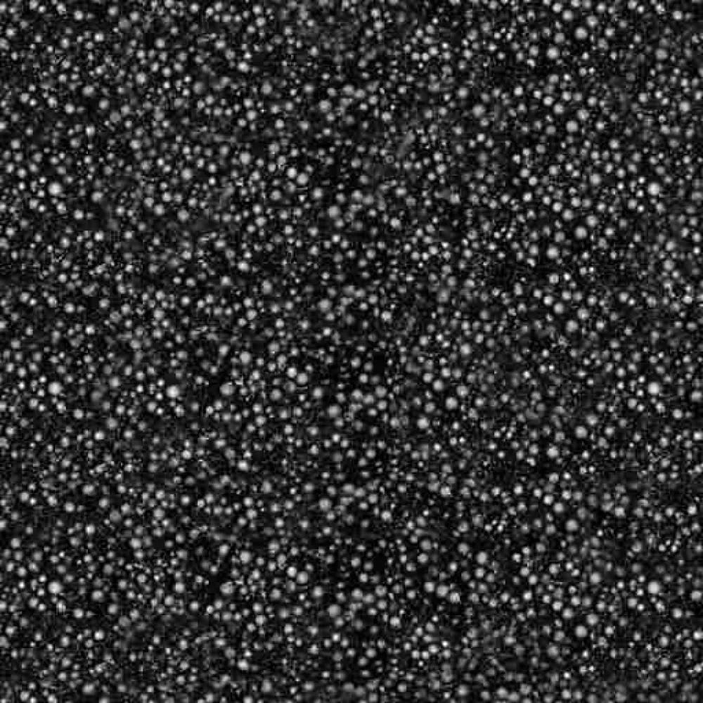 Flexim Dakmortel - 10 strips