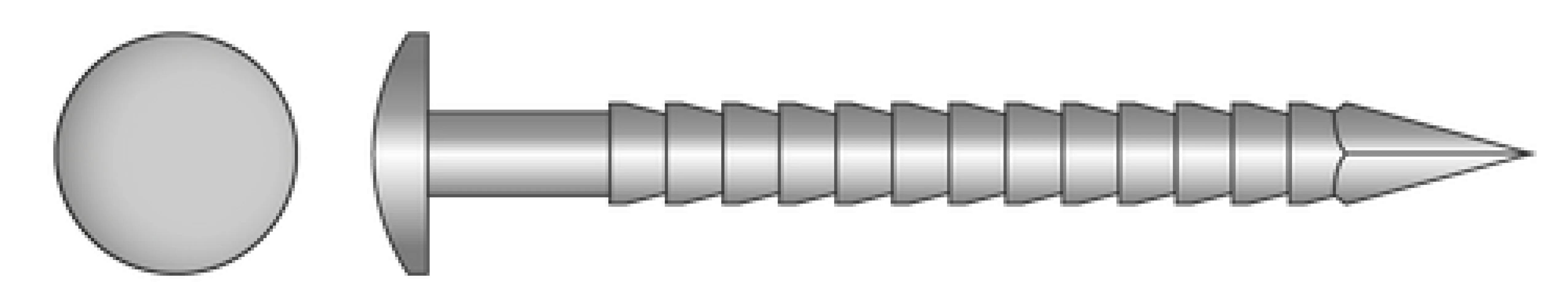 Ringnagel bolkop RVS A4 - 200 st/doos