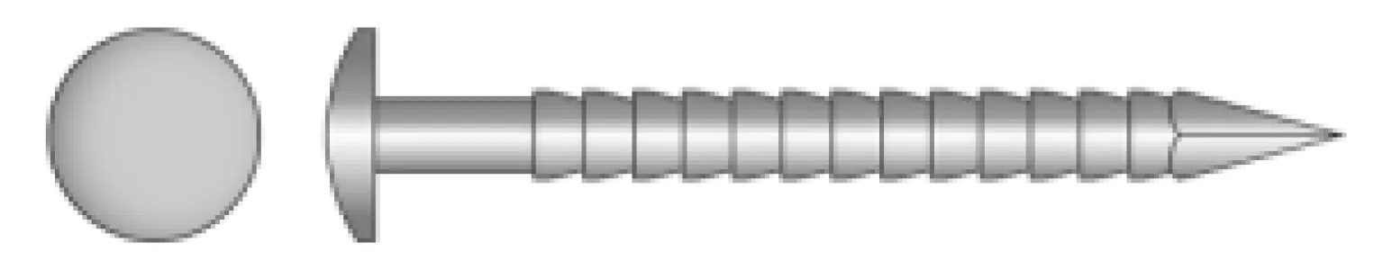 Ringnagel bolkop RVS A4 - 200 st/doos